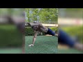 Summer Abs Challenge #shorts #fitness #workout #challenge