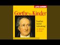 Miniature de la vidéo de la chanson Goethe Für Kinder
