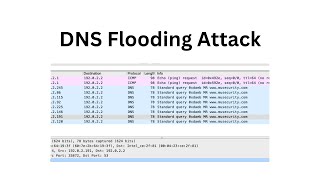 How DNS flooding attack works