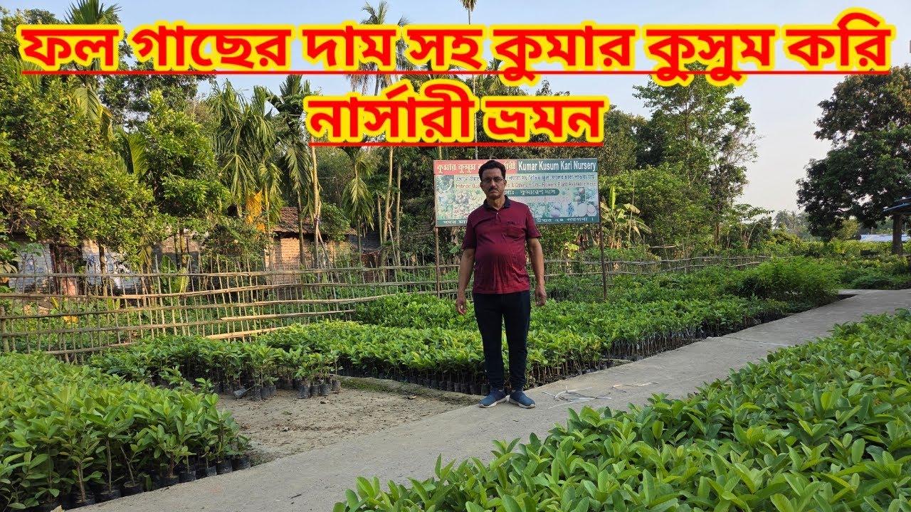 ফল গাছের দাম সহ কুমার কুসুম করি নার্সারি ভ্রমন|Fruit Nursery Kumar Kusum Kari Tour||Shree Sanjiban||