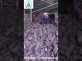 Coffee hardwood charcoal - Always to supply you Coffee hardwood charcoal - Always to supply you