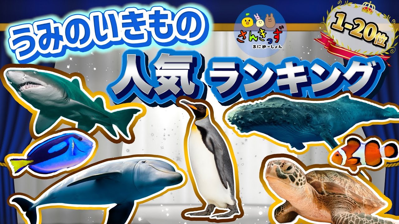 【海の生き物 大集合】うみのいきものランキング top20☆人気No.1はだれかな？【子供向け 水族館アニメ】イルカ サメ クジラ