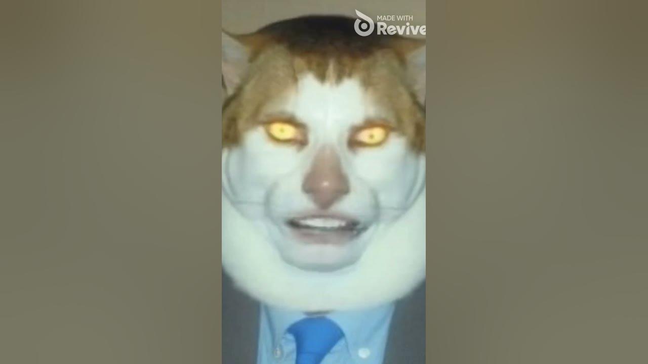 кот поет #рекомендации #мем #шортс #рек #кот - YouTube
