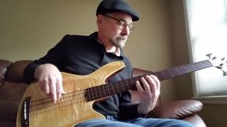 The Chicken - Rob Allen MB-2 Fretless Bass