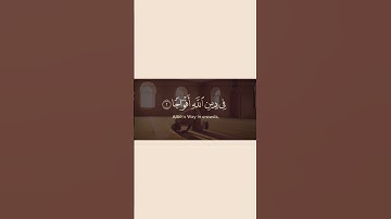 سورة النصر بصوت القارئ سعد الغامدي
