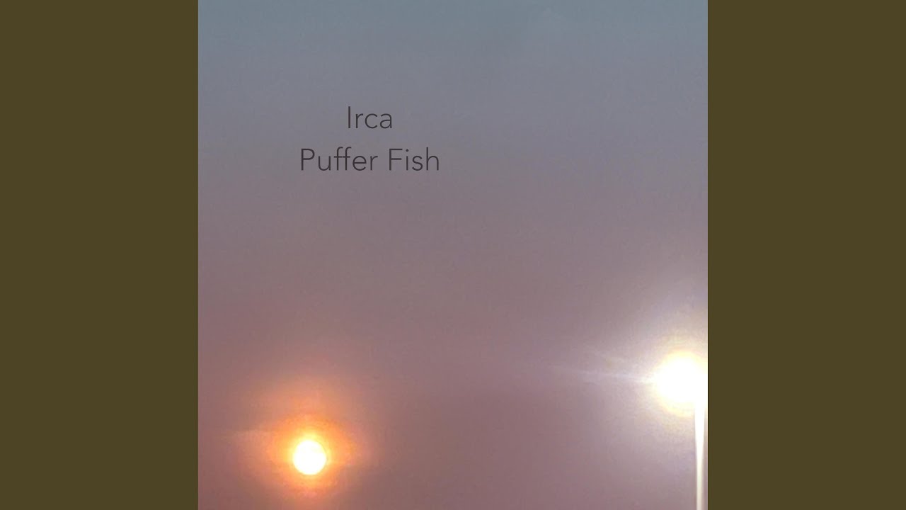 Watch Puffer Fish on YouTube Watch Puffer Fish on YouTube