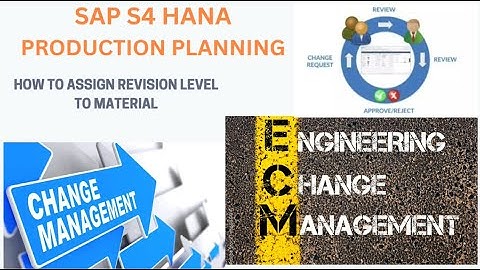 SAP Engineering Change Management (ECM) | engineering change management in sap |  REVISION LEVEL|