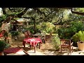 Lawn to Habitat and Outdoor Living | Betty Saenz |Central Texas Gardener