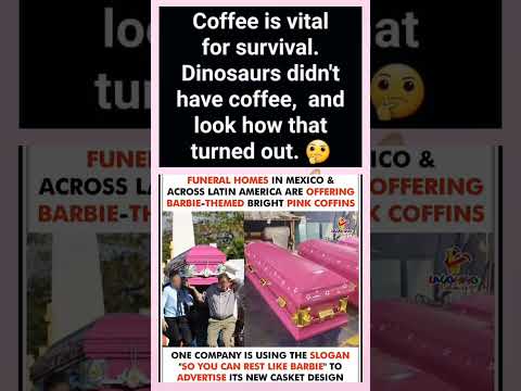 Viral Meme Video