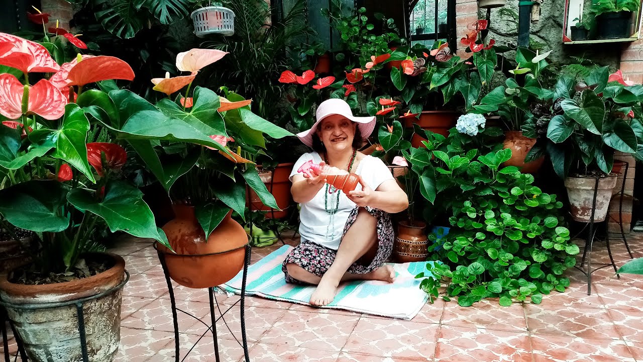 Plaguicida NATURAL 2X1 Acaba Plagas, NUTRE Plantas!