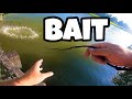 Catching Gar Bait with a 3ft Cast Net