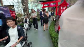 Walk around the Sakura Display at Gardens by the Bay (22nd March 2024)