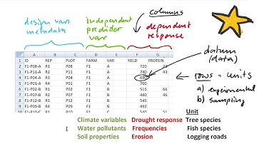 3.3. Data Table Concepts and Variable Types (rr480, tableconcepts)
