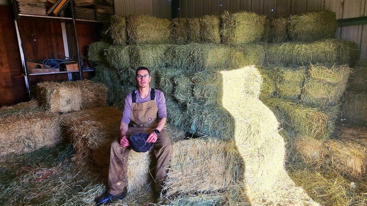 Ежегодное потребление сена нашими коровами