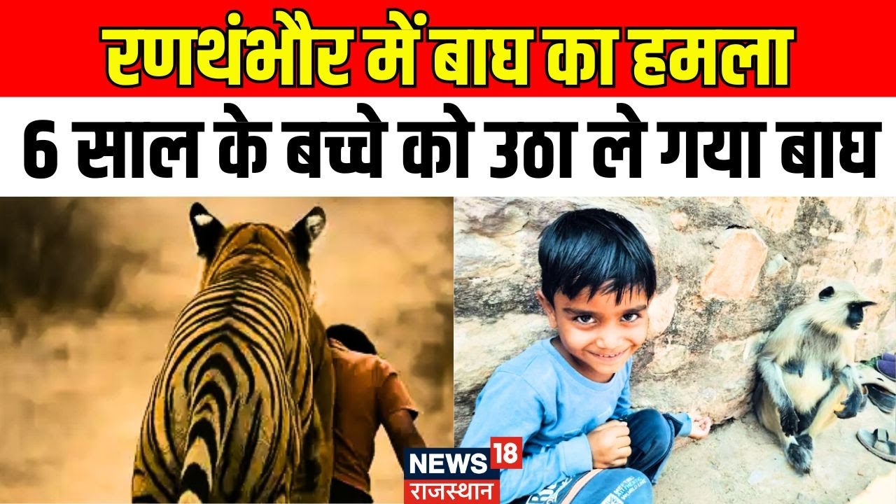 Tiger Attack in Ranthambore : मां की गौद से 6 साल के बच्चे को उठा ले गया बाघ। Rajasthan Wildlife