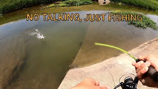 Non Stop Bites All Fishing, NO TALKING (ASMR)
