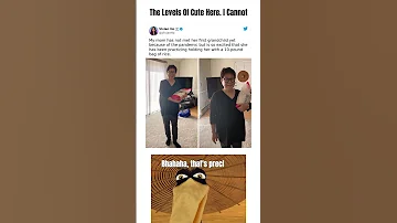 This Mom So Excited For Her First Grandchild That She Practicing Holding Her Shorts Memes 