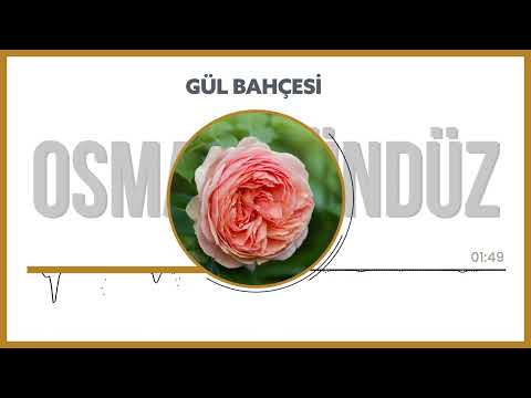 Gül Bahçesi | Müziksiz İlahi | Osman Gündüz