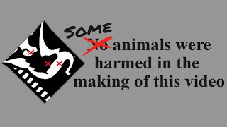 Vtuber Humane Association