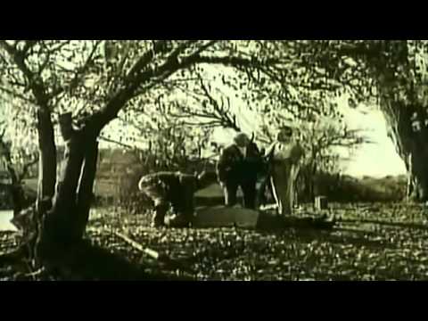 Sən neylədin Lal Hüseyin/ Böyük dayaq filminden fraqment/