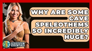 Why Are Some Cave Speleothems So Incredibly Huge? - Ecosystem Essentials
