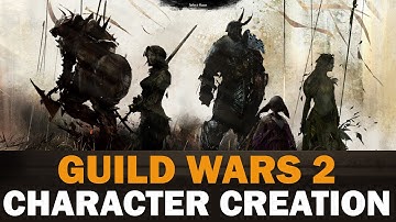 Guild Wars 2 Beta - Full Character Creation - Charr, Human & Norn!