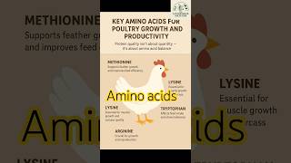 🐔Essential Amino Acids and Biotics for Poultry 🐓Growth and Gut Health Explained✨ #icar #poultry 📢🐄🐔🔥