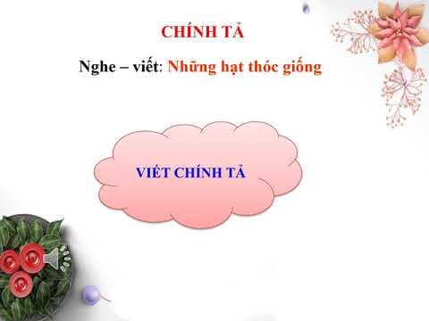 Video Chính tả bài: Những hạt thóc giống - youtube