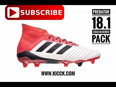 adidas predator warm blooded