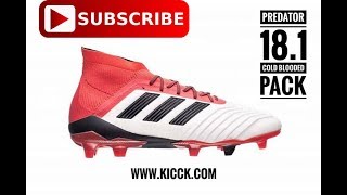 Review adidas Predator 18.1 FG Cold Blooded Pack (Thai Version)