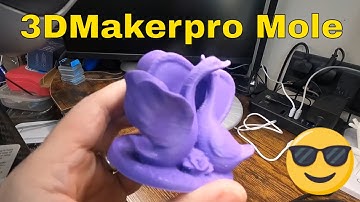 3DMakerpro Mole Newbie Test & Review
