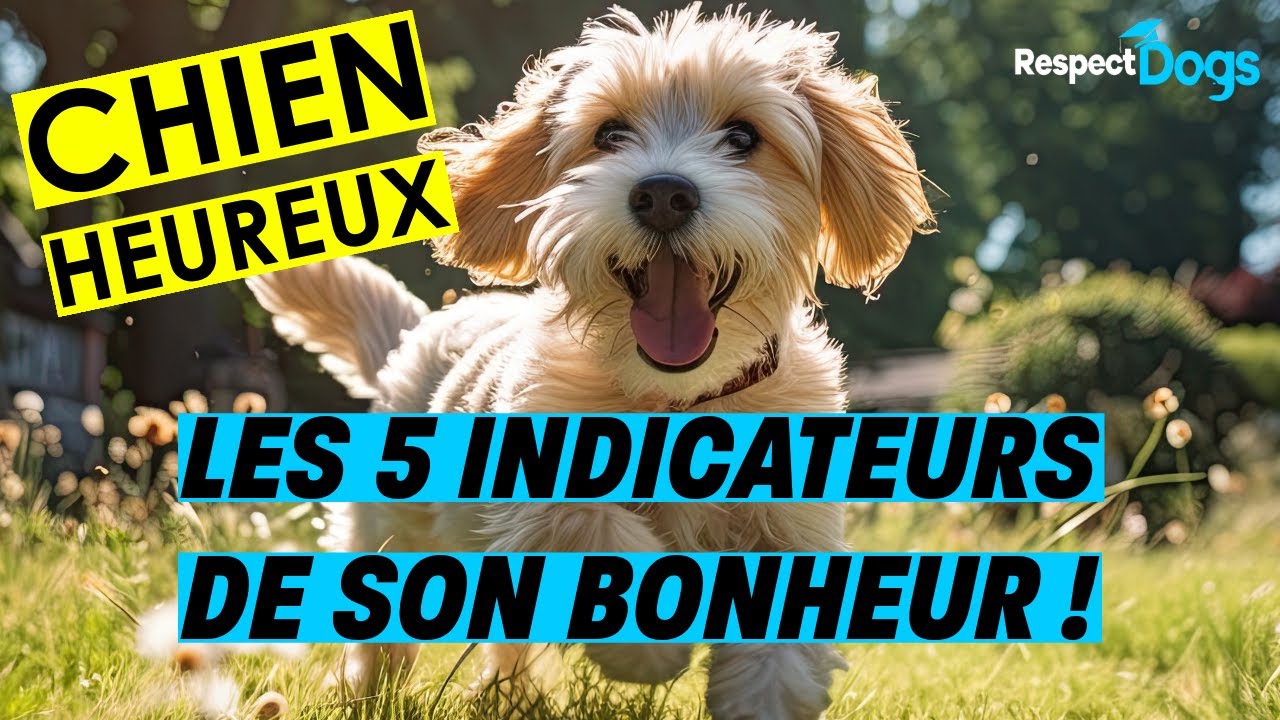 Comment savoir si mon CHIEN est HEUREUX ? YouTube