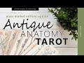 Antique Anatomy Tarot (mass market edition update)