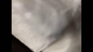 80245383435  3F12748F D1F8 414B 8E09 C603AFFC5190