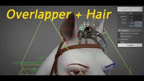 Overplapper+Hair