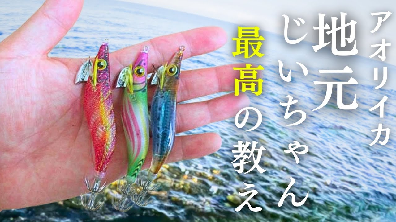 初心者でも2日連続でアオリイカが釣れたのは、ベテランじいちゃんの教えを実践したから。