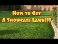How to get a showcase lawnoverseeding my lawn overseeding perennialryegrass  kentuckybluegrass