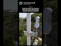 Stockbridge Dampers Protecting Power Lines