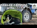 Trailer camping with dogs pop up dog tent for camping