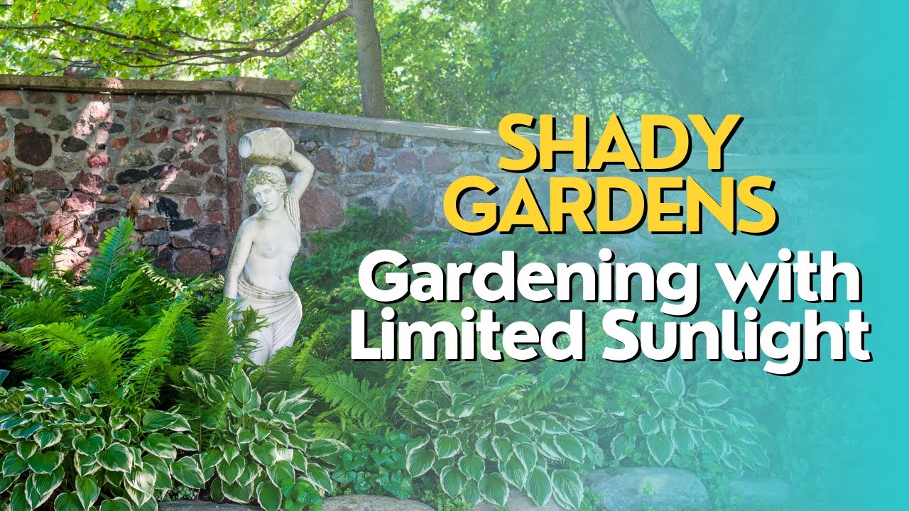 Gallery Detail: Shady Gardens Gardening With Limited Sunlight