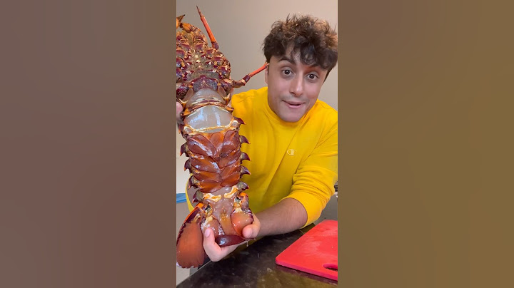 COOKING MASSIVE LOBSTER