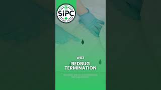 Pest control Services in India | Sequre India Pest Control SIPC.