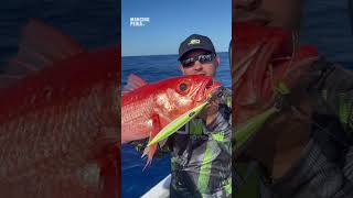 Minnow, Metal Jig, atau Popper? Ini Cara Pilih Umpan yang Benar Biar Nggak Boncos #shorts