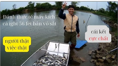 Đánh Thực Tế Máy Kích Cá igbt 56 Fet Bản Mới #kichcaigbt #maykichcadientu #maykichcaigbt