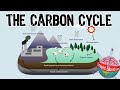 The Carbon Cycle and Its Impact on Life on Earth