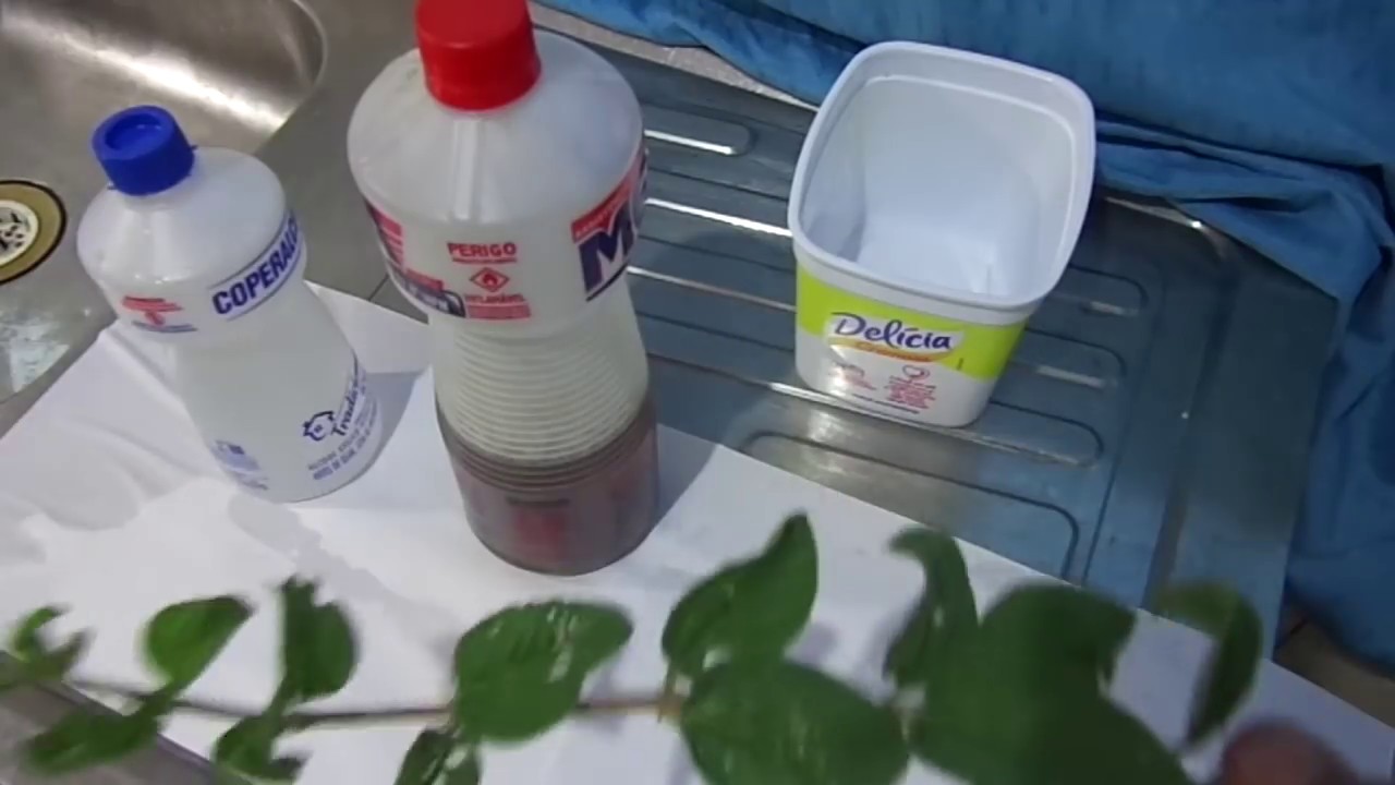 Veneno Natural Para Repelir pulgas e carrapatos do Quintal YouTube Veneno Natural Para Repelir pulgas e carrapatos do Quintal YouTube