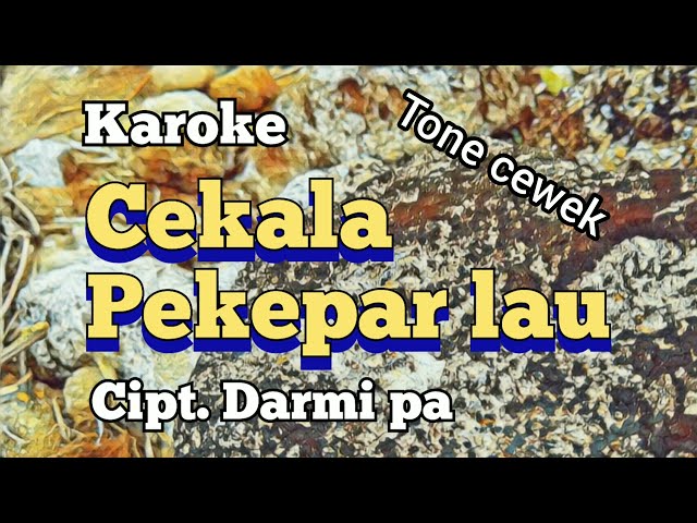 karoke lagu karo cekala pekepar lau ciptaan darmi perangin angin class=