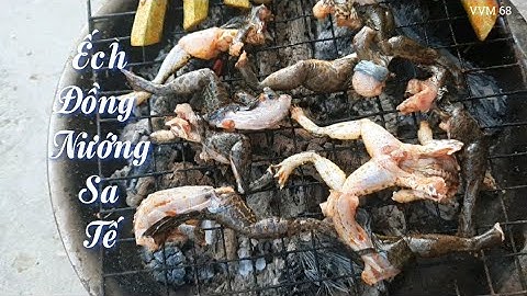 Ếch Đồng Ớp Sa Tế Nướng - Đặc Sản Miền Tây Sông Nước