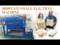Top 3 supplier in china 1000pcsh small egg tray machine price eggtraymachine