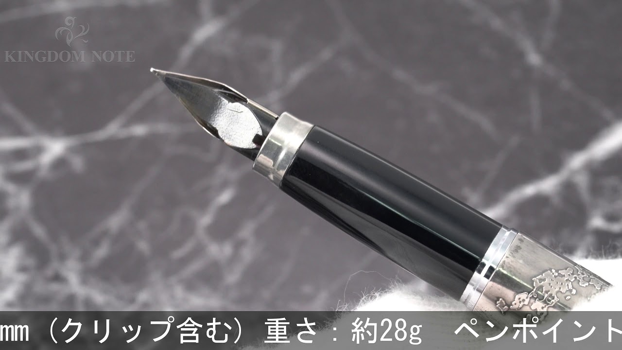 PLATINUM プラチナ 万年筆 リビエール ギャラクシー スターリング